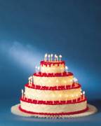 las vegas helicopter wedding.